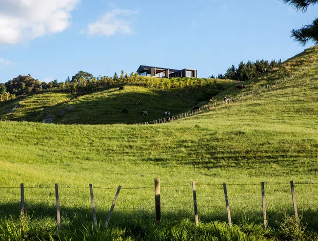 A wide exterior landscape view of a contemporary, low-profile house positioned on a gently sloping rural hillside. The dwelling has a dark, angular roofline with extensive open glazing or covered outdoor areas. Rolling green pasture, fencing, scattered vegetation, and grazing animals surround the building under a clear blue sky.