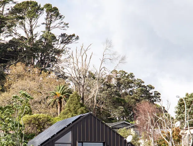 Exterior view of a compact dark-clad house nestled among dense mature vegetation. The building has a steep gabled roof, vertical dark wall cladding, large glazed openings, and a raised deck or balcony, with additional roof forms visible behind it. The setting appears heavily landscaped and residential, under a bright cloudy sky.