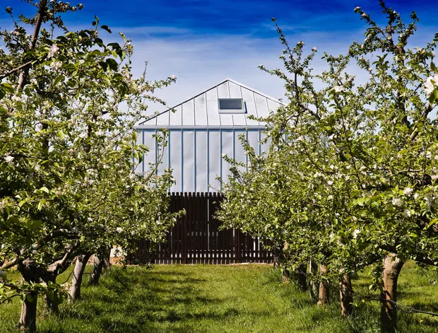 Exterior view of a simple white, vertically clad house with a steep gabled roof and small upper-level window, partially screened by a mature orchard and dark timber fencing. The image is set in a sunny landscaped garden or rural residential setting.