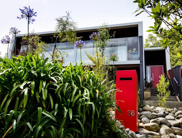 A contemporary two-storey residential facade viewed from a landscaped front garden. The home features a strong rectangular form, dark cladding or trim, extensive glazing, and vivid red entry doors and mailbox. Dense strappy-leaf planting, ornamental trees, and a dry river-rock garden frame the entrance.