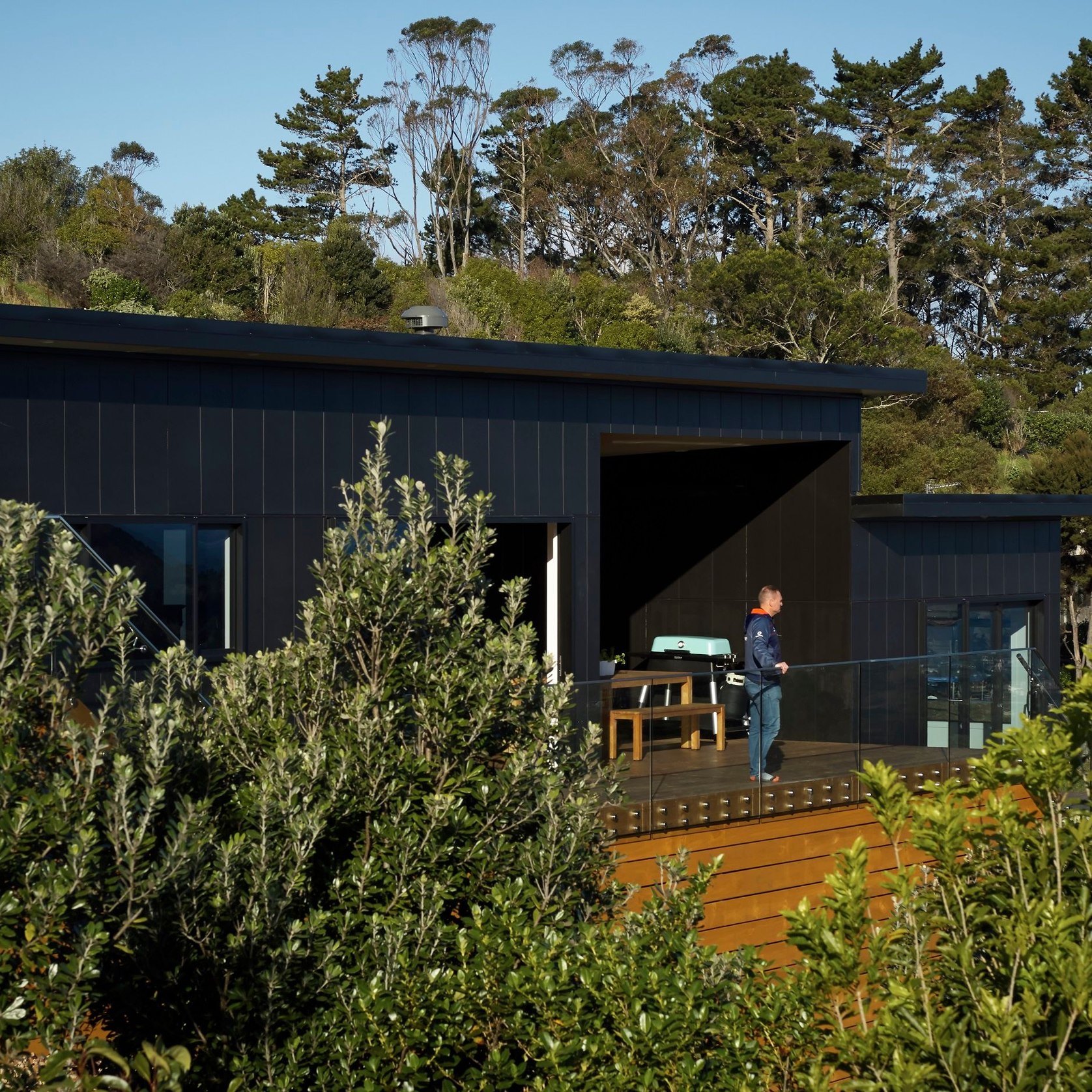 Axon™ Panel | ArchiPro NZ