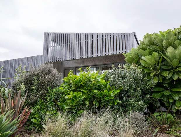 Low-angle exterior view of a contemporary building partially screened by dense ornamental landscaping. The facade combines dark vertical cladding with a prominent upper-level enclosure made from closely spaced vertical slats, with glazing visible beneath. The foreground contains layered leafy shrubs, grasses, and architectural plants under an overcast sky.