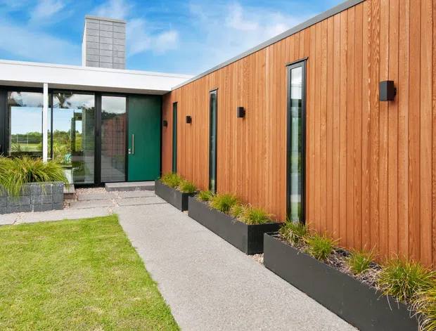 A contemporary single-storey building exterior viewed from a landscaped front walkway. The facade combines warm vertical timber cladding with dark-framed narrow windows and large glazed entry doors, a crisp white flat roof, and a dark green entry door. Linear black planter boxes and low rendered planter walls define the path, with ornamental grasses and lawn providing a restrained garden setting.