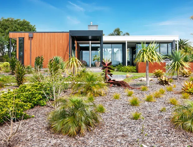 Single-storey contemporary house viewed from the landscaped front garden. The building has a low, flat roofline, extensive floor-to-ceiling glazing, dark window frames, and a prominent warm timber-clad volume. The naturalistic garden uses palms, yuccas, succulents, gravel, mulch, and low planting, creating a distinctly coastal or subtropical landscape setting.