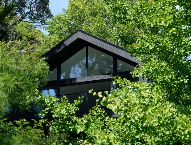 Exterior view of a contemporary dark-clad house largely screened by dense leafy vegetation. The building has a strong angular gabled roof form, expansive upper-level glazing with dark frames, and a lower projecting volume, creating a secluded, forested setting.