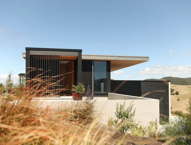 A contemporary single-storey house set within a landscaped rural or semi-rural site. The facade combines dark vertical screening and cladding with warm timber soffits, extensive glazing, a projecting flat roof, and pale rendered walls. Ornamental grasses and native-style planting frame the foreground, with rolling hills visible beyond.