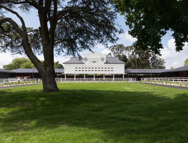 Wide exterior view of a low-rise equestrian or agricultural complex, centred on a white gabled entrance building with small circular architectural details and long dark-roofed wings extending to either side. A large mature tree and manicured lawn dominate the foreground, with white rail fencing enclosing the grounds.