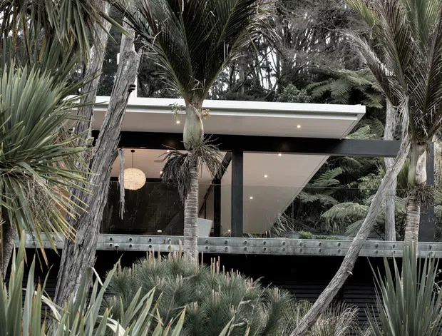 A contemporary single-storey pavilion-style house nestled among dense palms and native-looking vegetation. The dark framed glazing, broad flat roof, and sheltered terrace create a strong indoor–outdoor connection, with warm interior lighting visible through the windows.