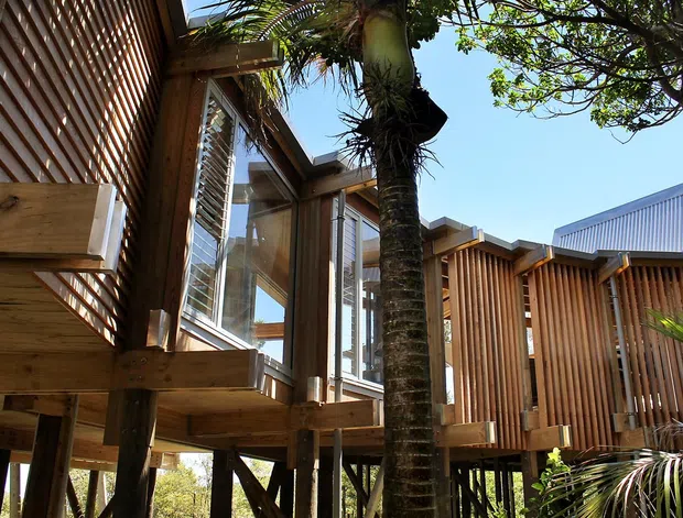 Exterior view of a raised, timber-clad building with extensive vertical and horizontal timber screening, projecting glazed windows, and elevated decks or platforms supported on posts. A palm tree and bright blue sky frame the structure, while a corrugated metal roof is visible at right. The composition highlights the building’s lightweight, elevated construction and integration with subtropical vegetation.