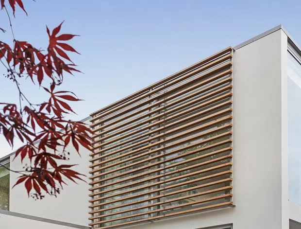 Contemporary building facade with a large feature screen of closely spaced horizontal timber slats over glazing, framed by smooth white rendered walls and tall corner windows. Red foliage appears in the foreground, with a clear blue sky behind the structure.