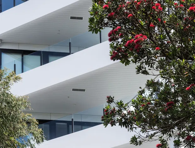 Exterior architectural photograph of a contemporary multi-storey building with repeated projecting white balcony slabs, glass balustrades, dark-framed glazing, and pale soffits with recessed vents. Flowering and leafy trees partially screen the facade in the foreground.