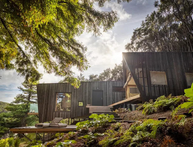 A contemporary dark-clad building integrated into a steep, heavily vegetated hillside. The structure features vertically ribbed timber or metal cladding, angular roof forms, large openings, and elevated deck-like platforms, surrounded by mature trees and lush planting.