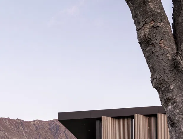 Exterior view of a contemporary dark-clad house set against dramatic mountains, partially screened by a large mature tree and landscaped garden. The building features a flat roof, projecting upper volume, balcony glazing, and vertical timber-look slatted facade screens.