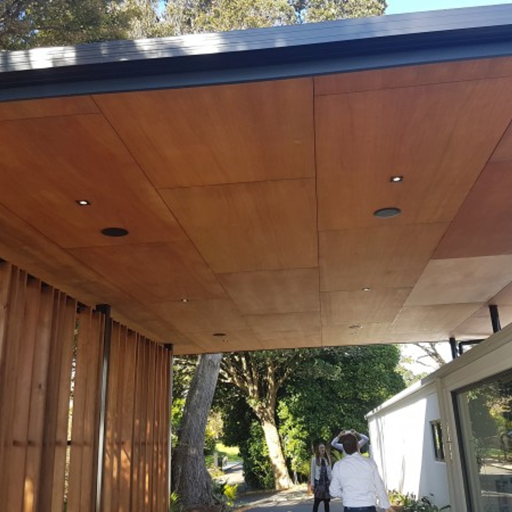 Meranti Joinery Plywood ArchiPro NZ