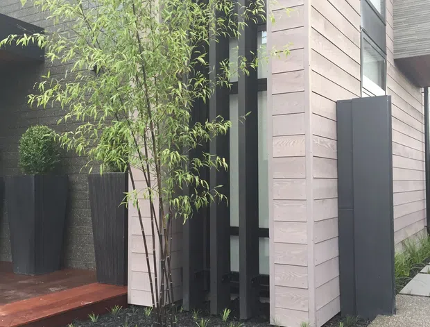 A contemporary residential entry facade viewed from outside, featuring pale horizontal timber-like cladding, dark vertical window framing, a sheltered recessed doorway, black planter boxes, and minimalist landscaped garden beds. A textured concrete path leads to a small reddish timber step and entry platform.