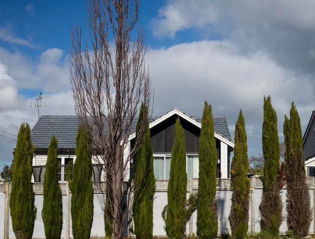 Exterior view of a suburban single-storey house behind a tall white boundary fence, with a dark pitched gable roof, white facade, large dark-framed glazing, and a row of slender evergreen trees and deciduous planting along the street frontage. The image is photographed from the road under a partly cloudy sky.