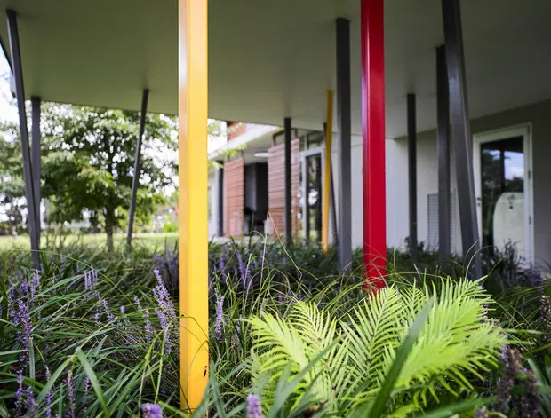 A covered building walkway or entrance is framed by vivid yellow, red, and dark slender columns. Dense ornamental planting with ferns and purple flowering grasses fills the foreground, while a contemporary grey facade, timber-clad section, and glazed doorway are visible behind.
