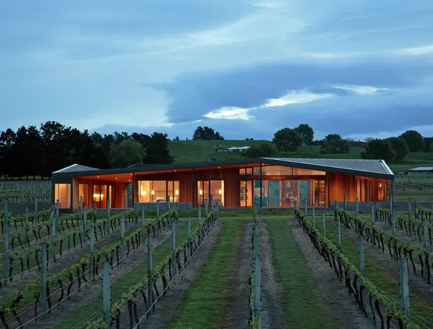 A low, single-storey contemporary building set among orderly vineyard rows, photographed at dusk. The building has a broad asymmetrical pitched roof, extensive warm-lit glazing, dark timber or metal exterior elements, and a central entrance approached by a path through the vines. Rolling rural farmland and mature trees form the background.