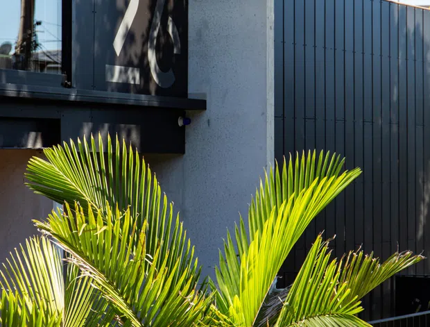 Close-up exterior view of a contemporary building facade with dark vertical metal cladding, a smooth light rendered wall, black-framed glazing, and a black metal balcony or boundary railing. Palm-like planting occupies the foreground, with strong sunlight and utility infrastructure reflected in the glazing.