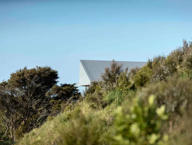A partially concealed building sits within dense coastal or scrubland vegetation on a sloping site. The visible structure has a simple gabled form with a corrugated metal roof and a pale exterior wall, framed by windswept shrubs and trees beneath a clear blue sky.