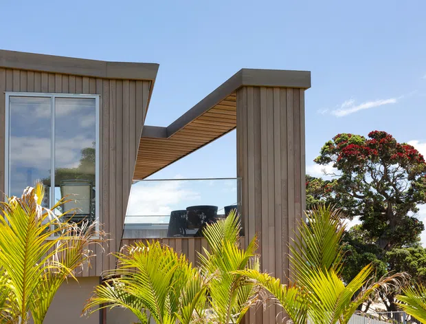 Contemporary exterior detail featuring vertically clad timber walls, a projecting flat roof canopy with a timber soffit, large glazed openings, and a glass balustrade. Tropical palms and mature planting frame the building, with a bright coastal-looking sky beyond.