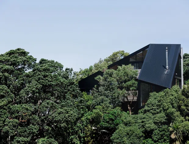 Exterior view of a dark, angular multi-level house largely nestled among dense mature greenery. The building features steep intersecting pitched roofs clad in dark metal, extensive dark-framed glazing, and a contemporary geometric form.