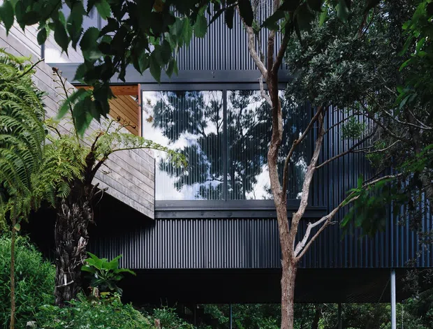 Exterior view of a raised, multi-level contemporary house partly concealed by dense tropical and subtropical landscaping. The building features dark vertically ribbed metal cladding, extensive reflective glazing, timber wall panels, and an elevated lower level supported above the garden. A narrow garden path and concrete boundary edge occupy the foreground.