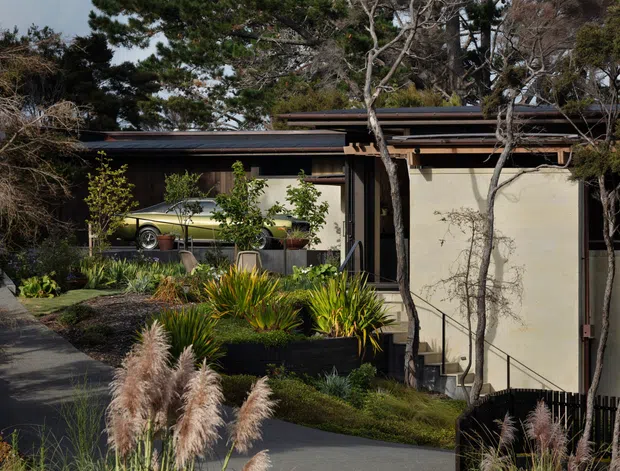 Exterior view of a low-slung modern residence partially screened by mature trees and landscaped planting. The house features a flat or very shallow-pitched roof, horizontal dark roof-edge detailing, large glazed openings, and pale rendered walls. A classic car is visible in an integrated garage or carport area, while a paved walkway, dark fencing, ornamental grasses, and structured garden beds occupy the foreground.