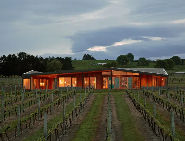 A low, contemporary pavilion-like building set among orderly vineyard rows, photographed at dusk. The structure has extensive floor-to-ceiling glazing, warm orange interior lighting, timber-toned vertical cladding or framing, and a shallow asymmetrical pitched roof. Dark trees and rolling agricultural land form the background.