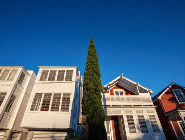 Upward-looking exterior view of a row of closely spaced multi-storey houses with strongly contrasting facades. The buildings feature white weatherboard cladding, extensive louvred and shuttered windows, projecting upper levels, balconies, and pitched gabled roofs. A red timber-clad house appears at right, while a tall narrow evergreen separates the homes against a clear blue sky.