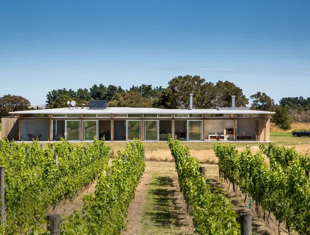 A low, single-storey modern rural dwelling viewed from a vineyard, with a long glazed facade, flat roof, timber-toned framing and broad roof overhang. Vineyard rows lead toward the house, with surrounding grassland and mature trees under a clear blue sky.