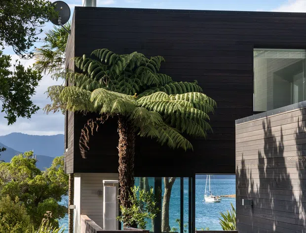 Exterior view of a contemporary dark-clad coastal home, with strong horizontal timber cladding, large glazed openings, and a recessed entry path. Lush planting and a tree fern frame the building, while blue water and a sailboat are visible beyond the glazing, with mountainous terrain in the distance.