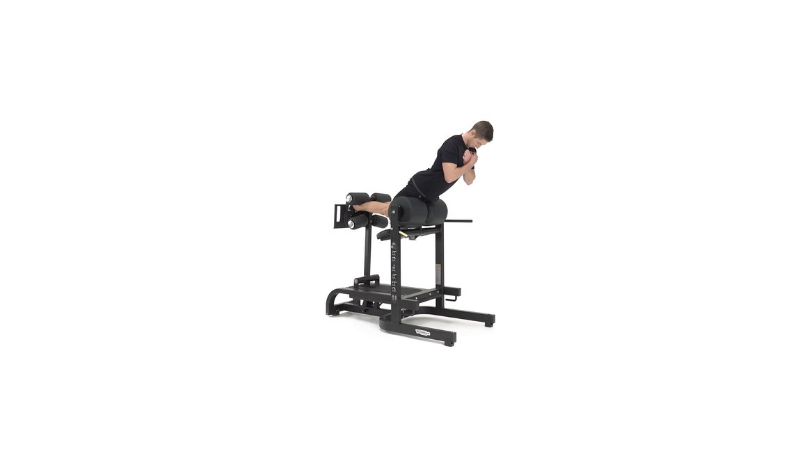 Ghd Bench Pure Gym Equipment ArchiPro NZ