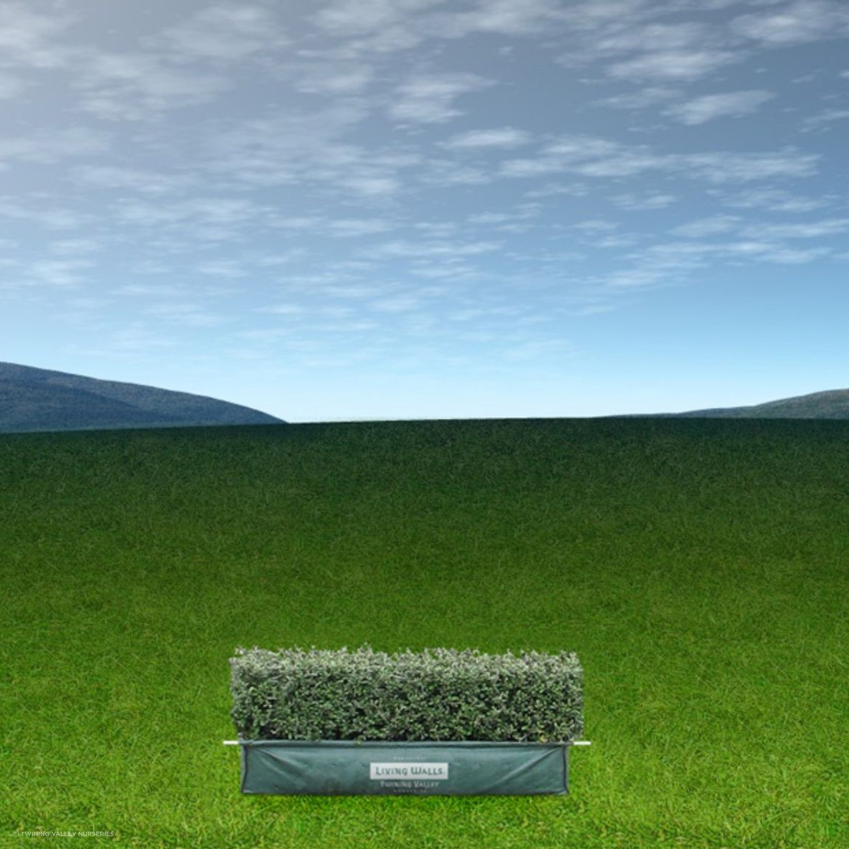 LIVING EDGE™ low instant hedge range. ArchiPro NZ