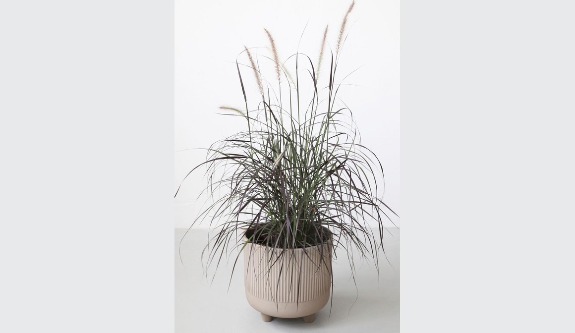 KRISTINA DAM STUDIO Three Legged Pots Indoor Planters & Pots NZ