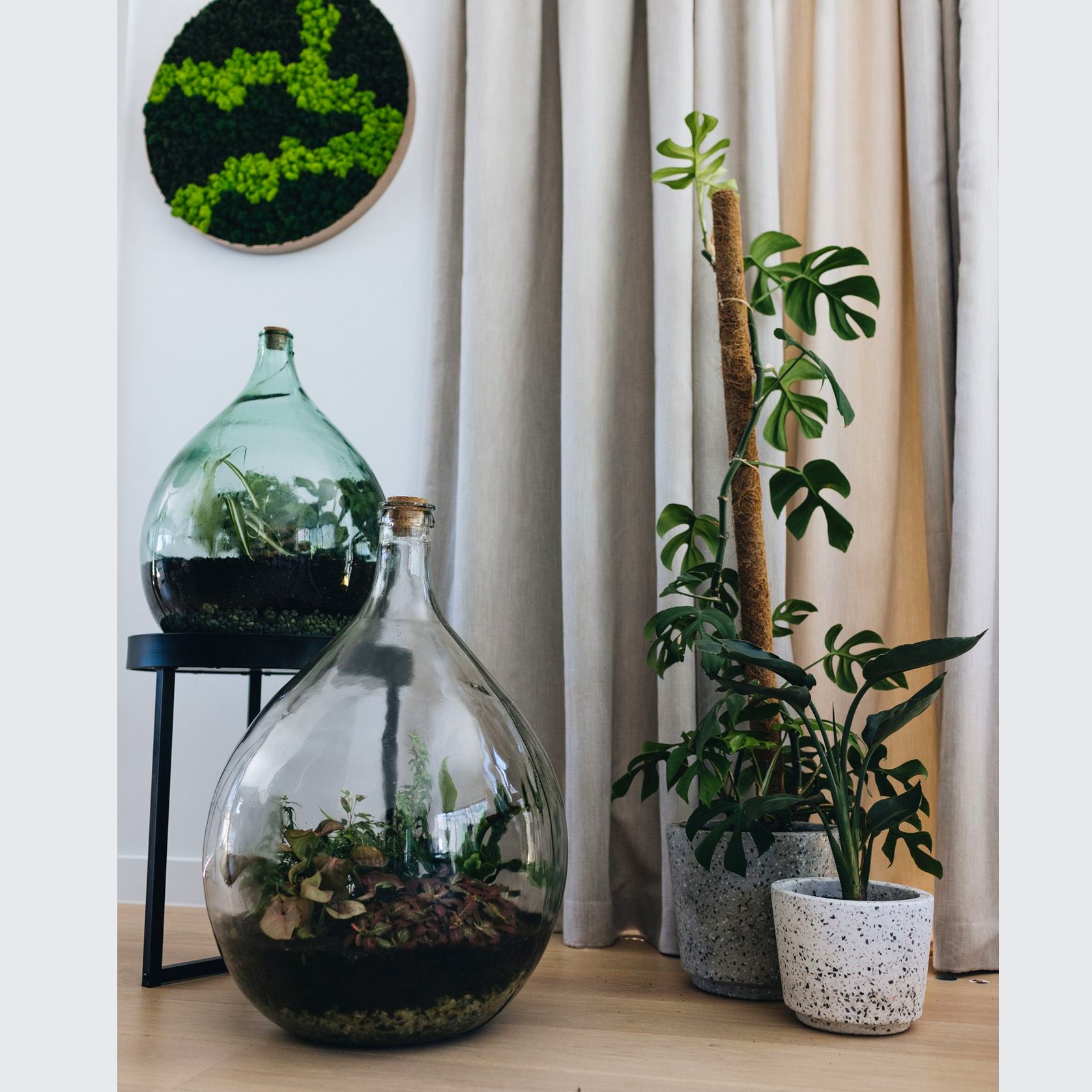 Bottle Terrarium ArchiPro NZ