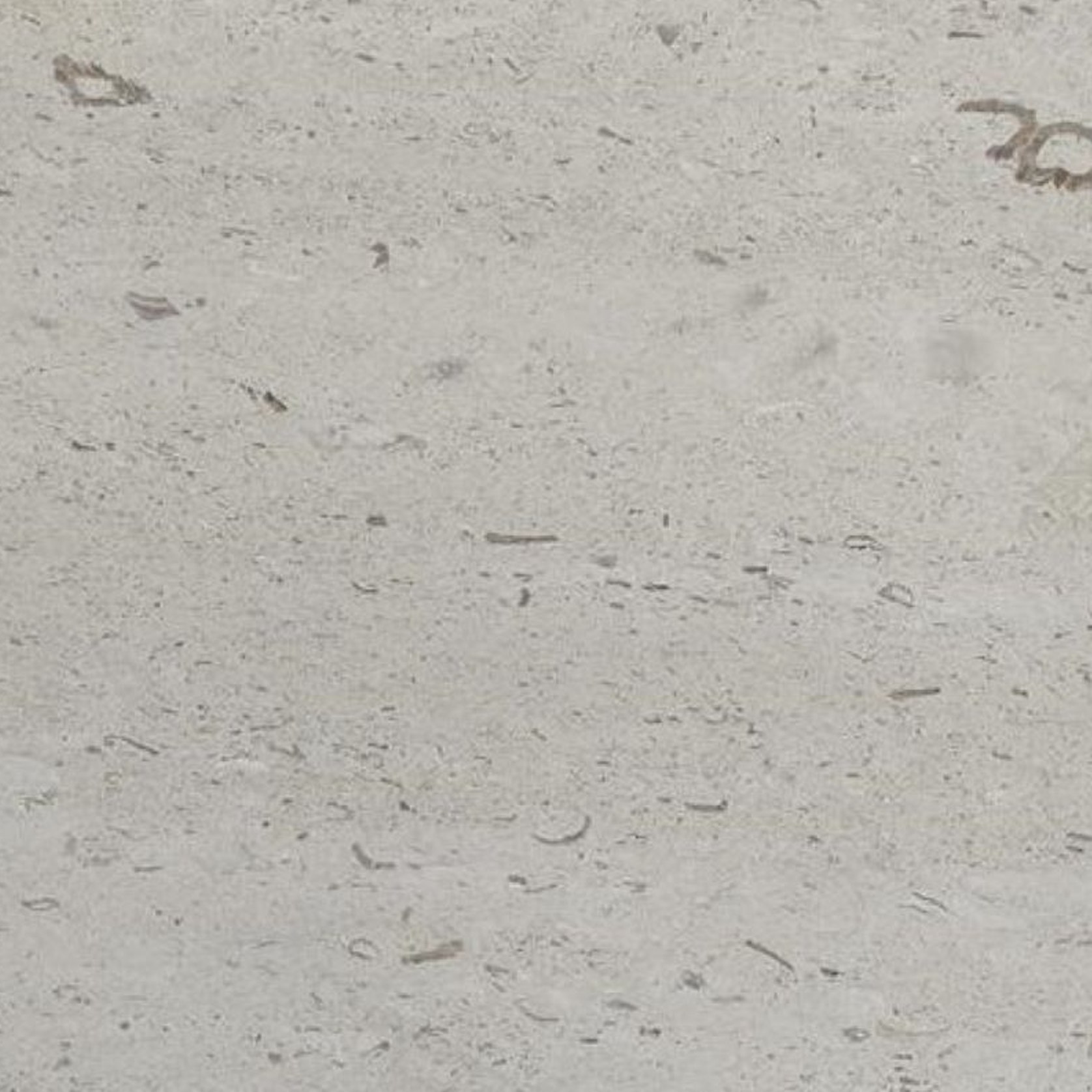 Moleanos Beige - Natural Limestone | ArchiPro NZ
