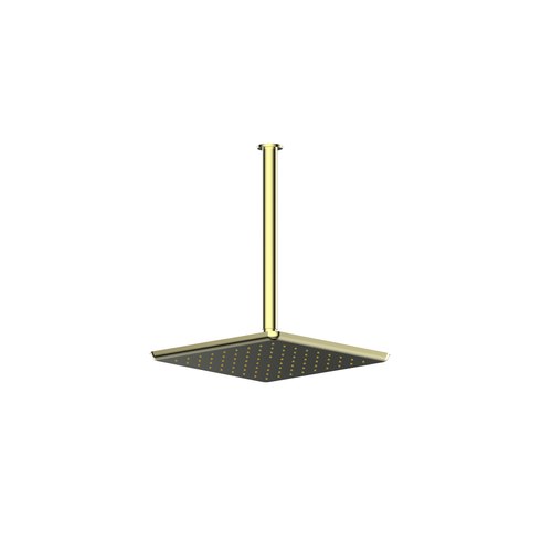 PVD Brushed Brass Skyla Ceiling Shower