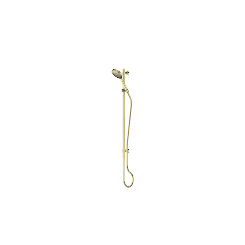 PVD Brushed Brass Lavish Brass Rail Shower