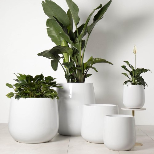 Gloss White Ashgrove Duffel