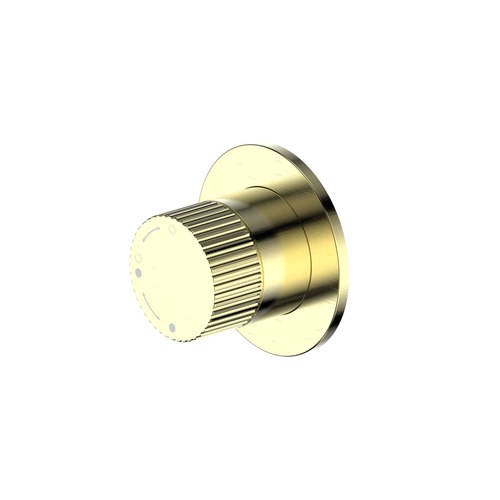 Brushed Brass Nature Lineare Shower Diverter | Textured Handle