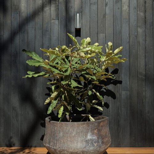 Bronze Woodfired Drum