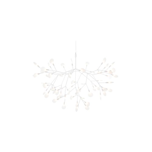 White Heracleum III Large