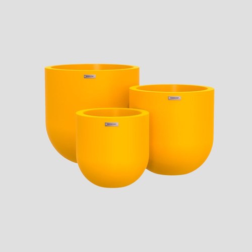 Canary Lisbon Cluster