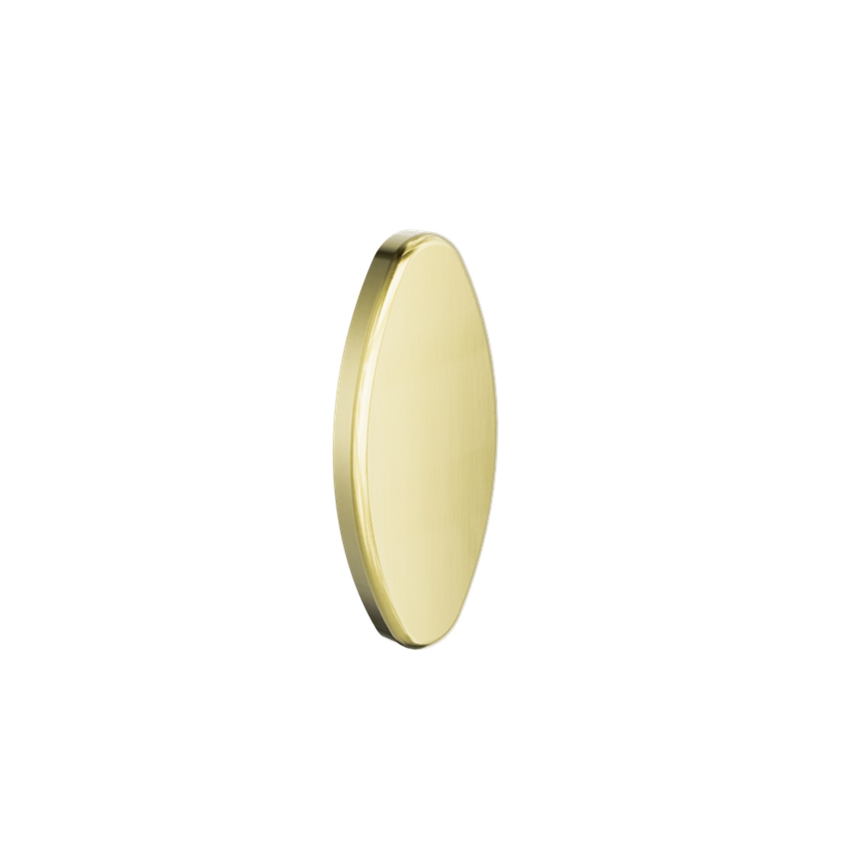 Backrest Removable Wall Cover Plate Brushed Gold | ArchiPro NZ