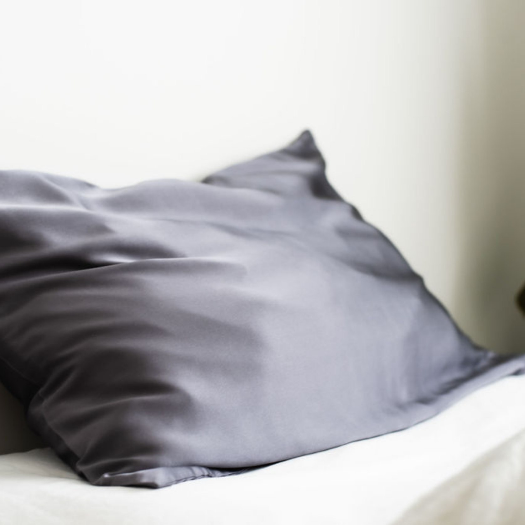 100 Pure Silk Pillowcase Charcoal ArchiPro NZ