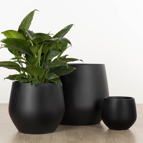 Matte Black - Diamond Cut Wynnum Cup