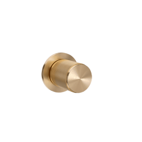 Brass Buster+Punch Linear Door Knob