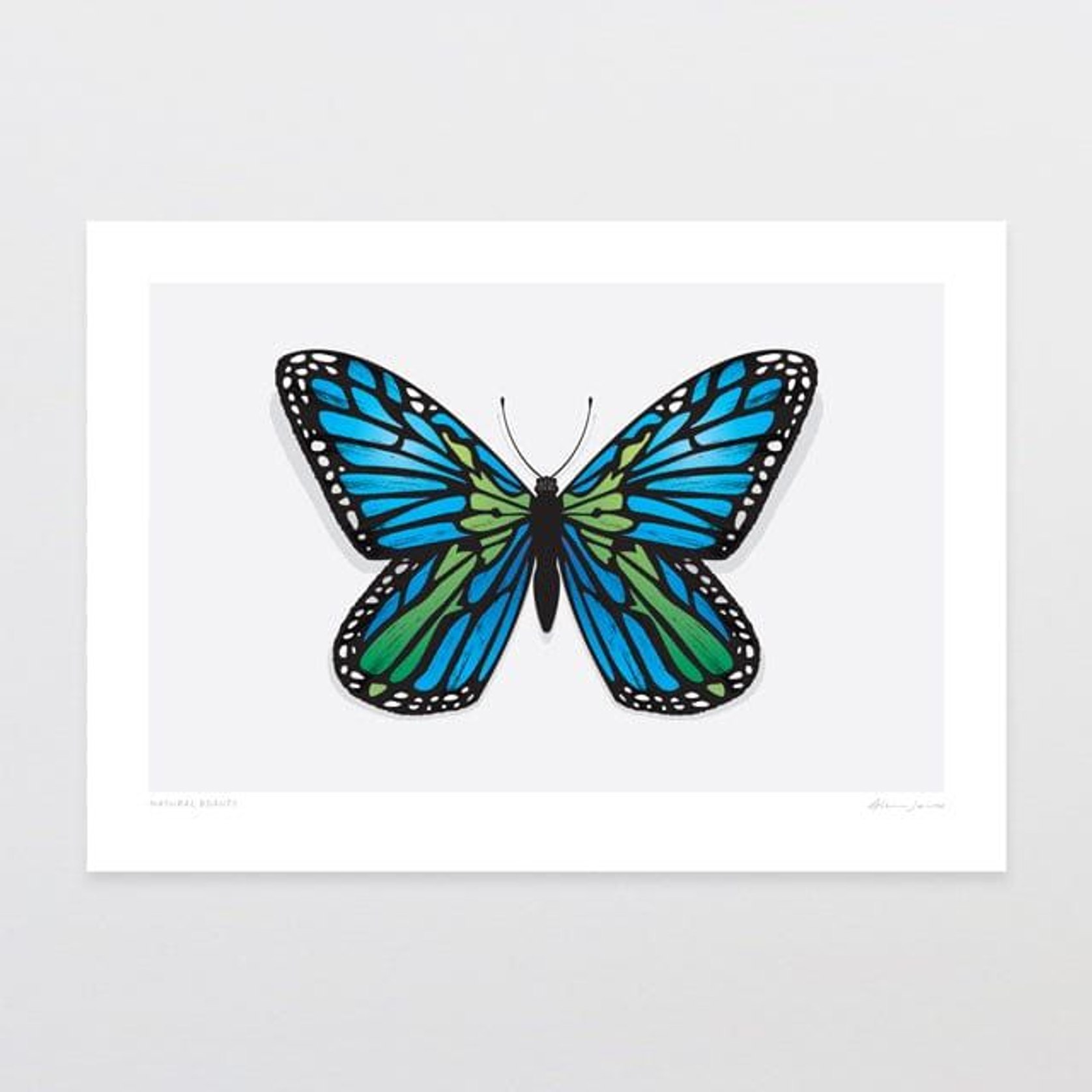 Natural Beauty Art Print | ArchiPro NZ