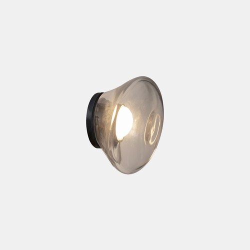 Transparent Agua Wall Light